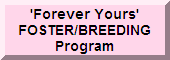 'Forever Yours' FOSTER/BREEDING Program