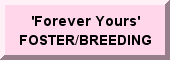 'Forever Yours' FOSTER/BREEDING Program